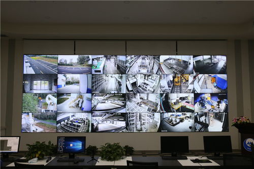 冰輪智能 從 生產(chǎn)制造型 向 服務(wù)制造型 企業(yè)轉(zhuǎn)變 打造智能制造創(chuàng)新發(fā)展高地